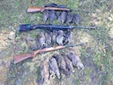 Got the daily bag limit of grouse with the boys, interior of British Columbia