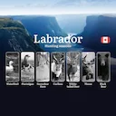 Hunting Seasons in LABRADOR: Opening and Closing Dates, Mandatory Licenses, Essential Rules, and the Most Promising Hunting Periods

Labrador, Canada's easternmost region