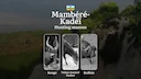 Hunting Through the Seasons in Mambéré-Kadéï: Rules, Permits & Cultural Events and Traditions

General Hunting Rules and Seasons in Mambéré-Kadéï

The official hunting se