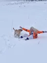 Новина