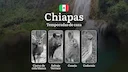Temporadas y períodos de Caza en Chiapas: Periodos Legales, Especies y Recomendaciones Prácticas

Chiapas es uno de los destinos más ricos en biodiversidad para la caza e