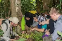 New ‘snug,’ a snail with a too-small shell, described from Brunei rainforest

A group of researchers and citizen-scientists have identified a new semi-slug species, Micro