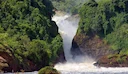 Hunting in Rakai Region, Uganda: Hunting Seasons in Rakai, Exhilarating Hunting Experiences and Local Traditions (Part II)

Hunting Seasons in Rakai

In Rakai, hunting fo