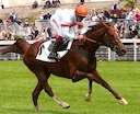 A Landmark Event for Britain’s Breeding Industry

The Thoroughbred Breeders’ Association (TBA), supported by the British European Breeders’ Fund (EBF), has launched the i
