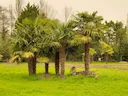 Saint-Louis Hunting Guide: Laws, Demographics Legislation. Birds, Wildlife, and Djoudj National Bird Sanctuary

The Saint-Louis Department in Senegal is a premier destina