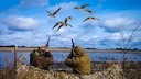 The NAPLES Region:  Clubs, Laws and Legislation, Communities and Demographics. A Paradise for Partridge Hunters

The Naples region, located in the Campania area of southe