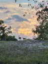 How lucky to see these deer and this beautiful sunset🥰 So grateful to call this place my home ❤️