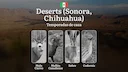 Temporadas y períodos de caza en los Desiertos Mexicanos (Sonora, Chihuahua): Periodos Legales y Dinámica de la Fauna

Los desiertos de Sonora y Chihuahua ofrecen una exp
