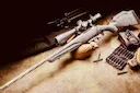 Ruger, 2 of 11