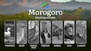 Morogoro: Official Hunting Dates, Regulatory Limits and Seasonal Prohibitions, Licensing Rules, Fines and Legal Penalties for Non-Compliance, Strategic Preparation, Timin