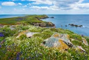 Hunting in Killarney National Park in Ireland: A Guide to Wildlife and Rules. Associations and Clubs, Laws, Hunting Seasons and Demographics

Killarney National Park, loc