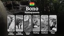 Hunting Calendar in Bono: The Thrill of Hunting Events and Traditions, Legislation & General Hunting Rules and Permits

Hunting Seasons and Legal Framework in the Bono Re