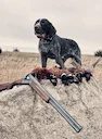 The German Wirehaired Pointer: A Hunter's Rugged and Reliable Companion

For those of us who live and breathe hunting, the choice of a canine partner is one of the most i