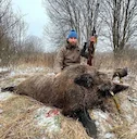 Wild Boar Hunting in Belarus: Driven Hunts and Trophy Success, Hunting Methods, Seasons, Price, Tips.

Introduction

Wild boar hunting in Belarus is a pursuit steeped in 