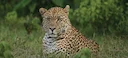Hunting in Mara Region, Tanzania: Hunting Seasons, Laws and Legislation, Tanzanian Demographics and Geography

Geographical Features in Tanzania and Mara Region 

The Mar