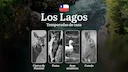 Temporadas de caza en la región de Los Lagos, Chile: los mejores meses y tipos de presa, prohibiciones y restricciones

Dinámica estacional de la caza, los mejores meses 