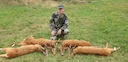 La chasse dans l’ESSONNE: Forêts périurbaines, pression urbaine, traditions rurales et encadrement strict en Île-de-France

Forêts, plaines et cours d’eau: paysages contr