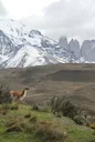 Caza en Ñuble: Diversidad de Presas, Tradición Mapuche y Aventuras entre Bosques y Volcanes
Características geográficas y naturales: ecosistemas que cobijan a las presas Caza en Ñuble: Diversidad de Presas, Tradición Mapuche y Aventuras entre Bosques y Volcanes
Características geográficas y naturales: ecosistemas que cobijan a las presas