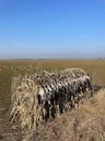 Goose Hunting in Belarus 2025: Full Guide to Seasons, Methods, Permits, and Prices

Belarus offers one of Eastern Europe’s most underrated goose hunting experiences. With