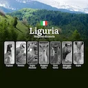 Caccia in Liguria: Tra Montagne, Boschi e Normative Rigide – Calendario Venatorio alla Pratica Venatoria

La Liguria è una regione unica nel panorama venatorio italiano. 