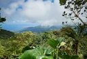 Les Clés de la Chasse en GUADELOUPE: Géographie insulaire, traditions de chasse, faits marquants et réglementation spécifique

La Guadeloupe, archipel des Antilles frança