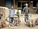 Falconary in China. Mongolian men sell falcons in Beijing. China, circa 1900.
Falconry is a very ancient art. According to one version, it originated in Asia.
The homel Falconary in China. Mongolian men sell falcons in Beijing. China, circa 1900.
Falconry is a very ancient art. According to one version, it originated in Asia.
The homel