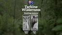 Tarkine Wilderness Hunting Calendar: When the Ancient Rainforest Reveals Its Game - Wallaby, Deer and Wilderness Pursuits

Hunting Regulations & Seasonal Framework in The