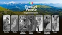 Dalle Prealpi Venete alla Pianura: Calendario Venatorio con Date e Consigli per Ogni Stagione

Le Prealpi Venete , estesa catena montuosa che si snoda tra le province di 