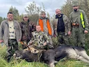 Driven hunting season opens in Belarus: congratulations to Sergey Gribov on his first moose!
The driven hunting season in Belarus has started with great news! We are hap Driven hunting season opens in Belarus: congratulations to Sergey Gribov on his first moose!
The driven hunting season in Belarus has started with great news! We are hap