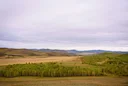 Bayankhongor Province: A Premier Hunting Destination in Southern Mongolia, Demographics, Associations and Clubs, Laws and Hunting Seasons

Nestled in the heart of souther