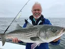 Rhode Island Commercial Striped Bass Fishing Closed: 2026 DEM Striper Quota & Season Update

If you’ve been down at the docks in Galilee or Point Judith lately, you alrea