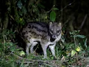 Madagaskar-siviet Madagaskar-siviet