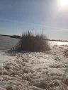 На кого открыта охота в апреле 2026 года в России: какая охота сейчас, сроки весенней охоты.

Охота в апреле 2026 года по регионам России. Узнайте, на кого сейчас открыта