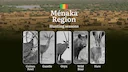Hunting Season Dates in Ménaka Region: Hunting Periods, Species and Season Bans, Joining the Hunt, Getting Licensed, Penalties That Can Ruin Season, Expert Picks, Timing,