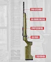 Savage B22 Series Timber Tactical Review — Precision Rimfire Rifle for Hunting and Target Shooting

The Savage B22 Series Timber Tactical is a bolt-action rimfire rifle d