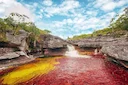 Caño Cristales, Colombia

When its endemic vegetation is in full bloom, this Colombian river appears to be painted. Yellows, greens, reds and blues mix dramatically to cr