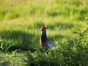 La Chasse au LOT-ET-GARONNE: explorez les spécificités, naviguez dans la démographie et découvrez des faits intéressants
Le département du Lot-et-Garonne, situé en régio La Chasse au LOT-ET-GARONNE: explorez les spécificités, naviguez dans la démographie et découvrez des faits intéressants
Le département du Lot-et-Garonne, situé en régio