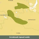 🇲🇳 Lov na kozoroga u Mongoliji
U Mongoliji, GSCO i SCI klubovi razlikuju 2 podvrste planinskih koza:
▪️Altajska planinska koza (Capra Sibirica Sibirica)
▪️Gobi planins 🇲🇳 Lov na kozoroga u Mongoliji
U Mongoliji, GSCO i SCI klubovi razlikuju 2 podvrste planinskih koza:
▪️Altajska planinska koza (Capra Sibirica Sibirica)
▪️Gobi planins