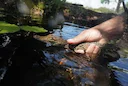 CUBA

ENVIRONMENT
This it is without doubts one of the points you will enjoy most, your eyes will be delighted with the various colors that this Caribbean water offers, c