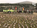 Spanish style

Sometimes trophy hunters want to unwind on a hunt - without overcoming, overexertion and overload.

We recommend you the most exciting hunt for 🐔partridge