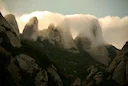 Caza en el País Vasco: Práctica Cinegética Entre Bosques Atlánticos, Montañas y Cultura Vasca Tradicional

El país Vasco, situado en el Norte de España, es una región con