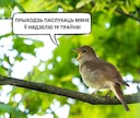 ❓ Хочаш паслухаць салаўёў у кампаніі арнітолага? Прыходзь на салаўіны вечар у Мінску!
📆 У гэтую нядзелю, 19 траўня, пойдзем слухаць салаўёў і назіраць за дзікай прырода ❓ Хочаш паслухаць салаўёў у кампаніі арнітолага? Прыходзь на салаўіны вечар у Мінску!
📆 У гэтую нядзелю, 19 траўня, пойдзем слухаць салаўёў і назіраць за дзікай прырода