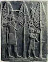 Where Falconry Began: A Historical Journey Through the World’s Oldest Hunting Tradition.

Where Did Falconry Originate? Exploring the Ancient Roots of the Art of Hunting 