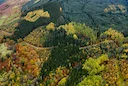 Hunting in Herefordshire, England: hunters and demographics of the region, types of hunting and hunting animals, hunting legislation
Geographical and natural features of Hunting in Herefordshire, England: hunters and demographics of the region, types of hunting and hunting animals, hunting legislation
Geographical and natural features of