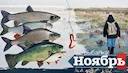 На что клюёт в ноябре: где и как ловить рыбу в России — снасти, наживки, места, нормы осенью 2025

Рыбалка в ноябре по регионам России: какая рыба ловится, на что клюёт, 
