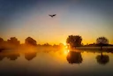 A Wonderful Start to the Day at Bushy Park's Leg of Mutton Pond - 28.09.24

Bushy Park is one of the best spots for nature lovers and wildlife enthusiasts in London. On t