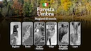 Ai Margini della Foresta Umbra: Calendario Venatorio con Date e Zone Consentite per Cacciatori

La Foresta Umbra , situata nel cuore del Gargano in provincia di Foggia, è