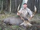 Deer hunting in Russia
With a rich and at times tumultuous history stretching back centuries, the land of the tsars is a fascinating land to explore. Russia is a biggest 