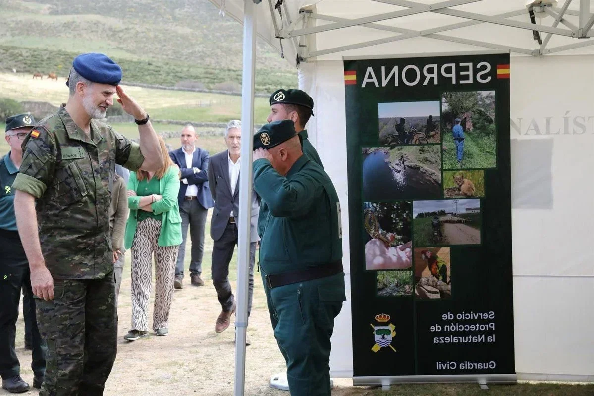 Condena a furtivos en Albacete: respaldo histórico a cazadores legales y a la lucha contra el furtivismo