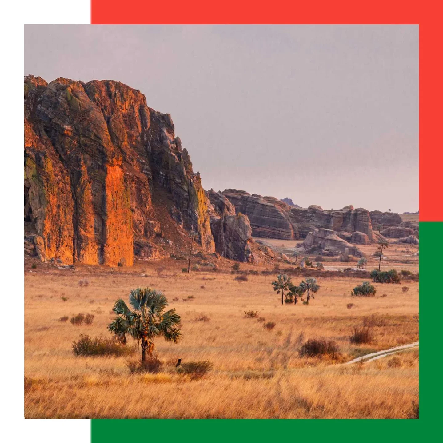 Madagascar: all about hunting and fishing, news, forum.